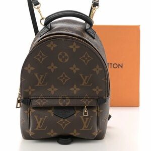Louis Vuitton Monogram Palm Springs Mini